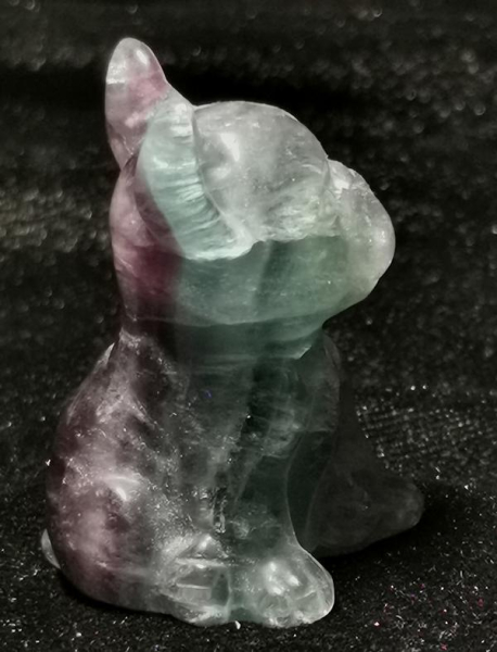 Fluorit Hund